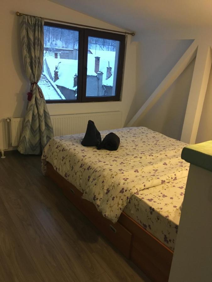 Fantasy Residence 브라쇼브 외부 사진