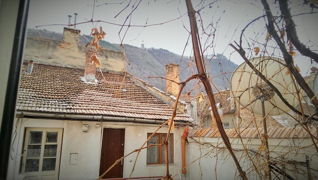 Fantasy Residence 브라쇼브 외부 사진