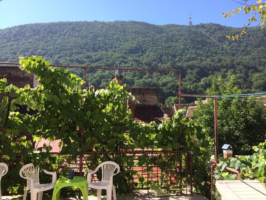Fantasy Residence 브라쇼브 외부 사진